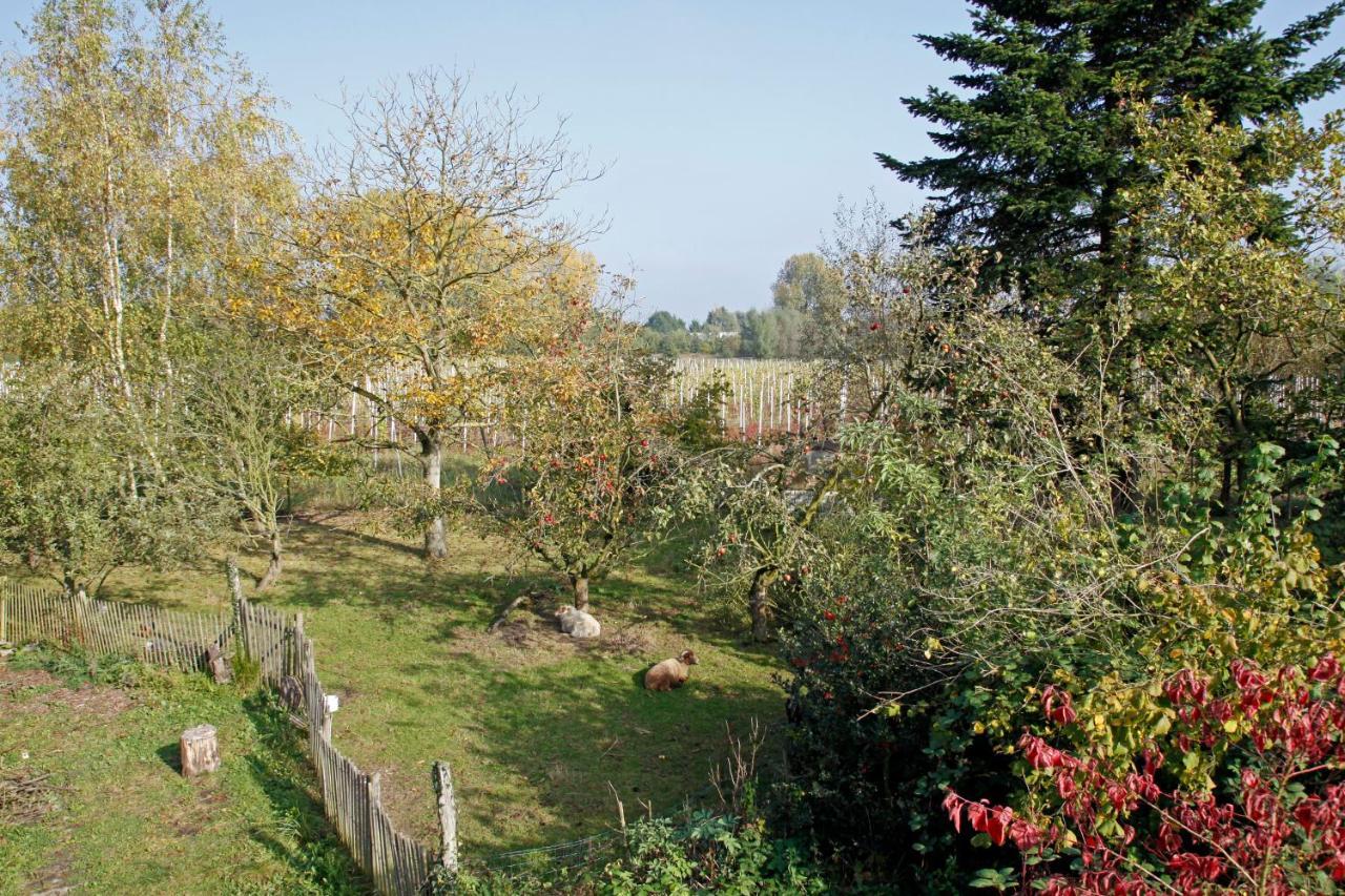 リール Hof Van Loverrijk Bed & Breakfast エクステリア 写真